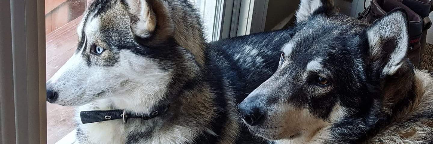 kanakusc's profile banner image