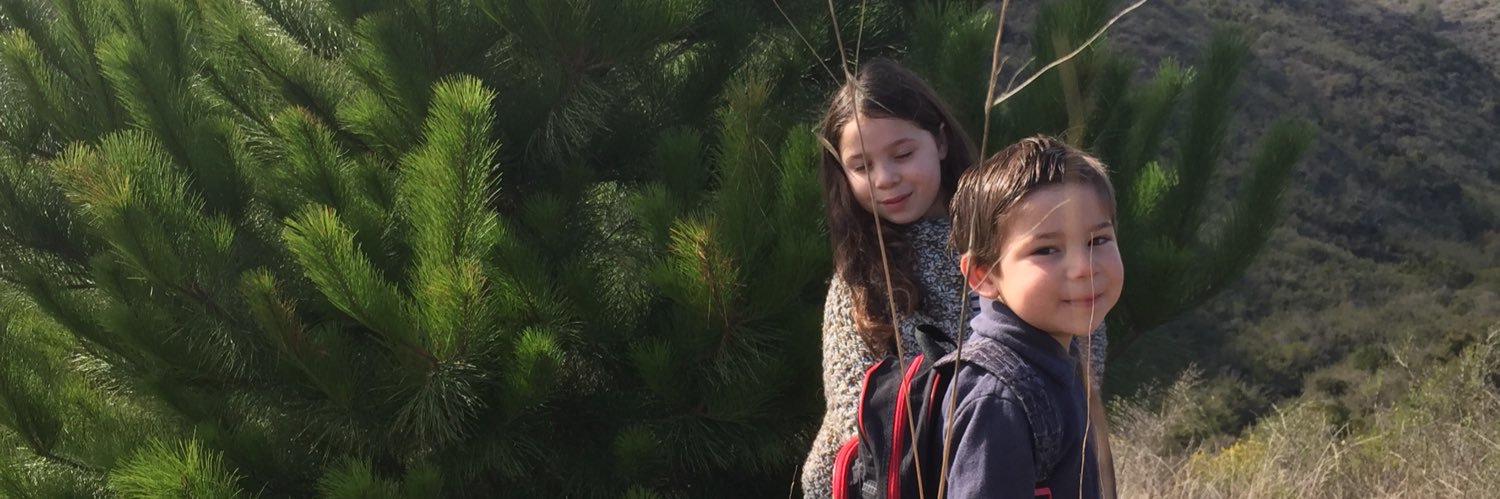 ALEJANDRO SEPULVEDA banner