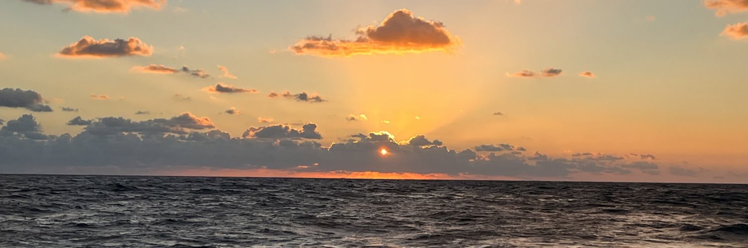 Ciro L@nzηttα banner