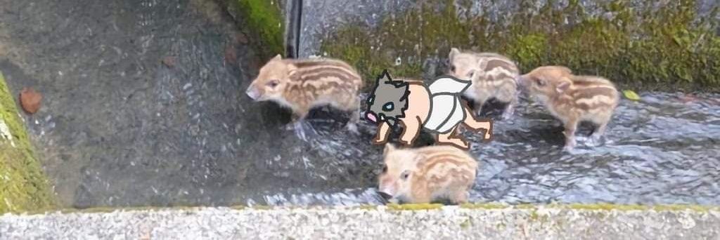 Lifen't banner