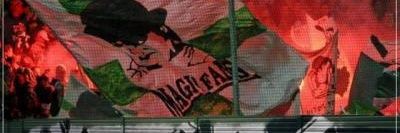Polsk's banner