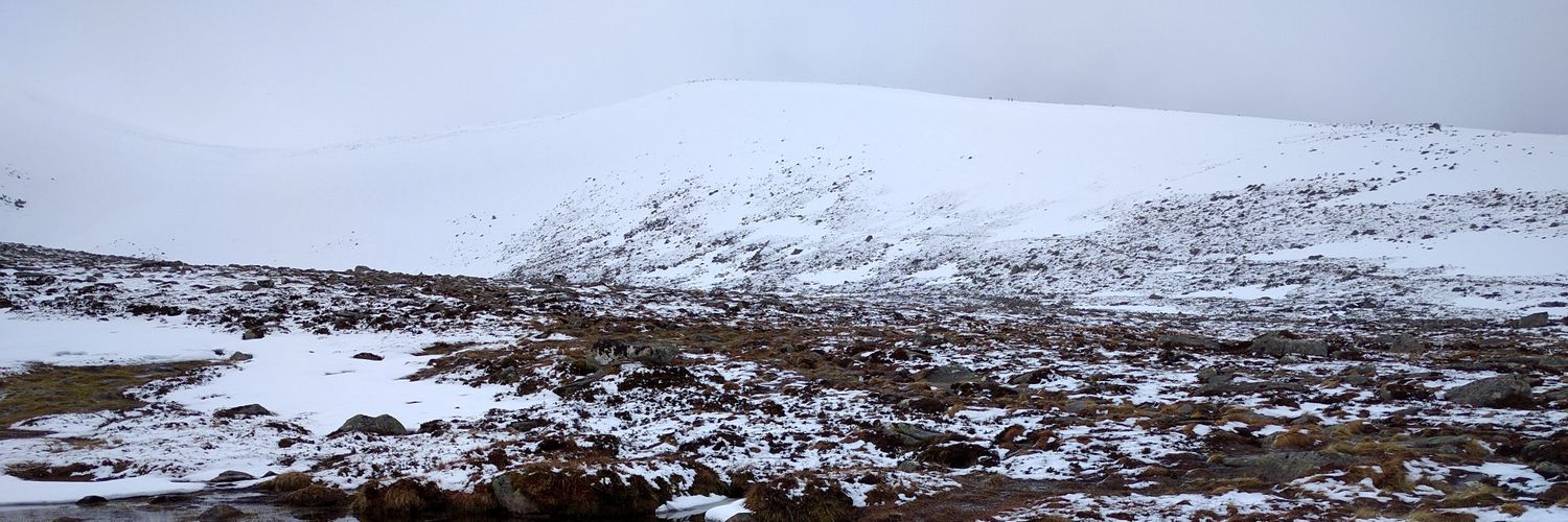 LiamDodds's profile banner image