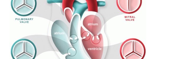 AminatModupe2 Profile Banner