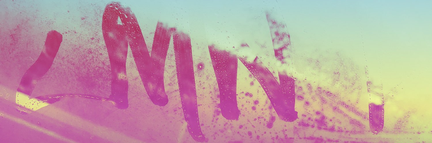 LMNT300's profile banner image