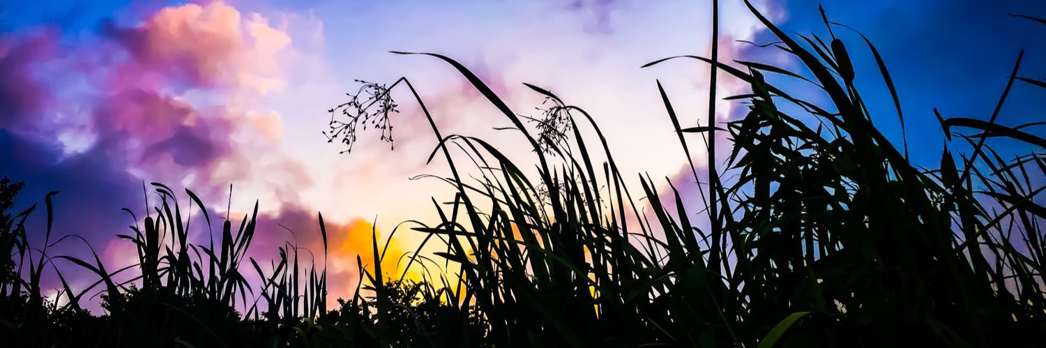 بهارِ اینروزها banner