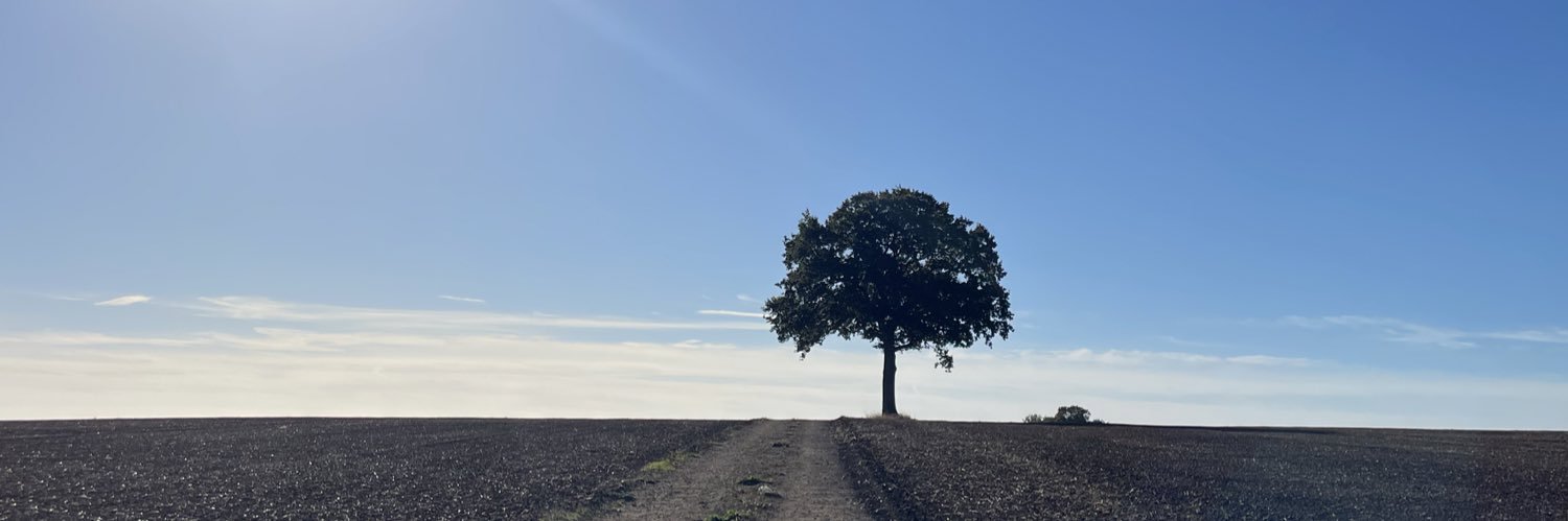 FionaMcMillanShields banner