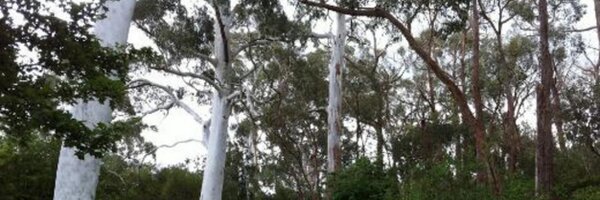 pru Profile Banner