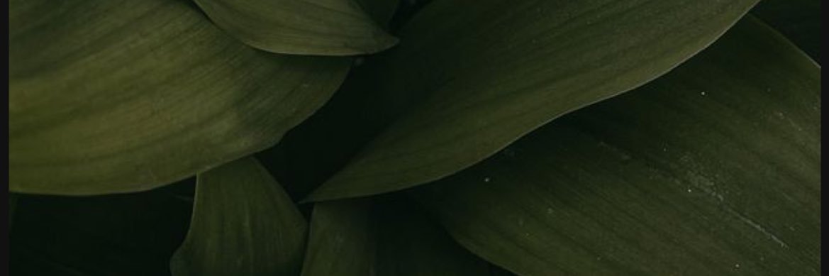 __chosengoddess's profile banner image