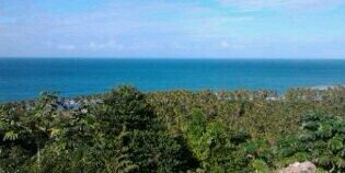 eltaltaro01's profile banner image
