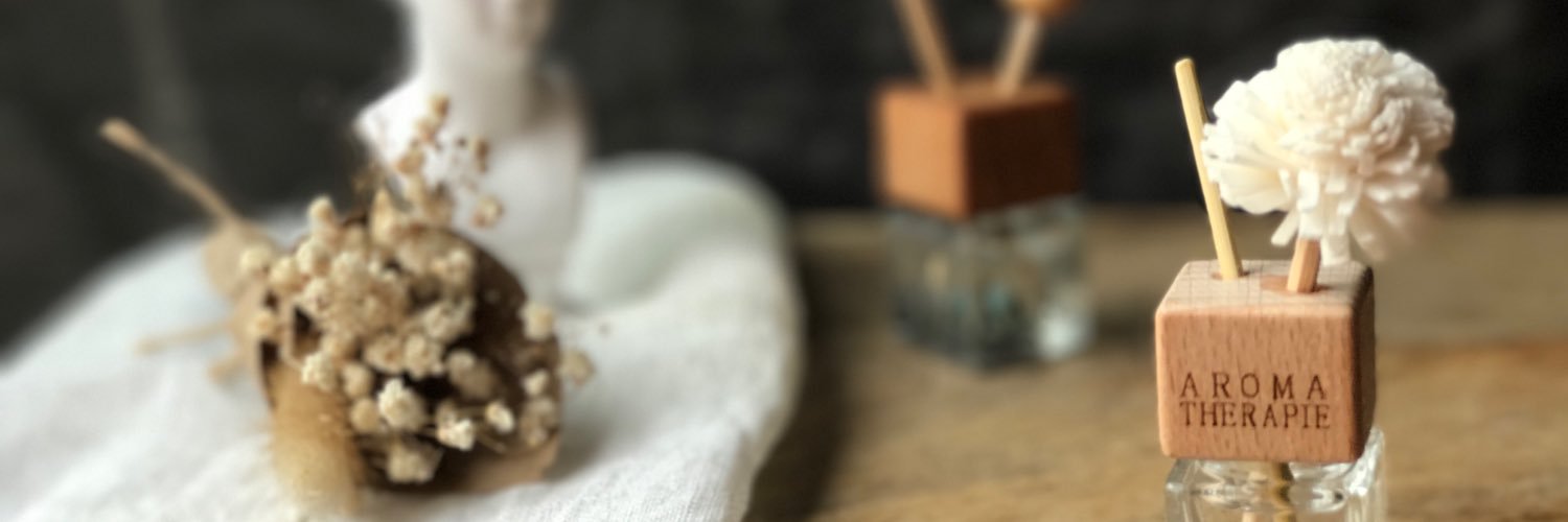 MonPlaisirDesignLab banner