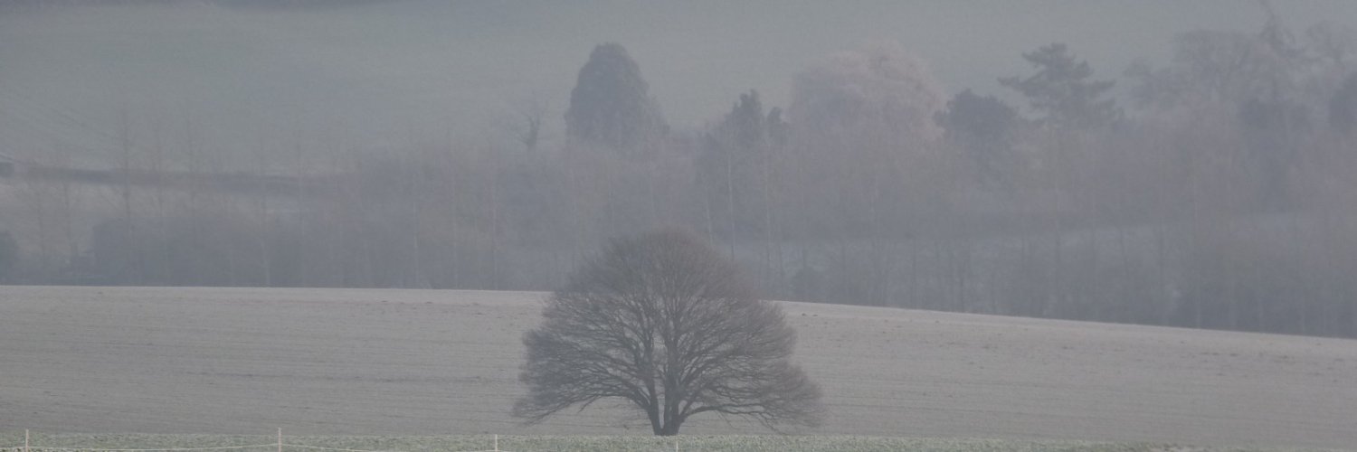 Moira Walker banner