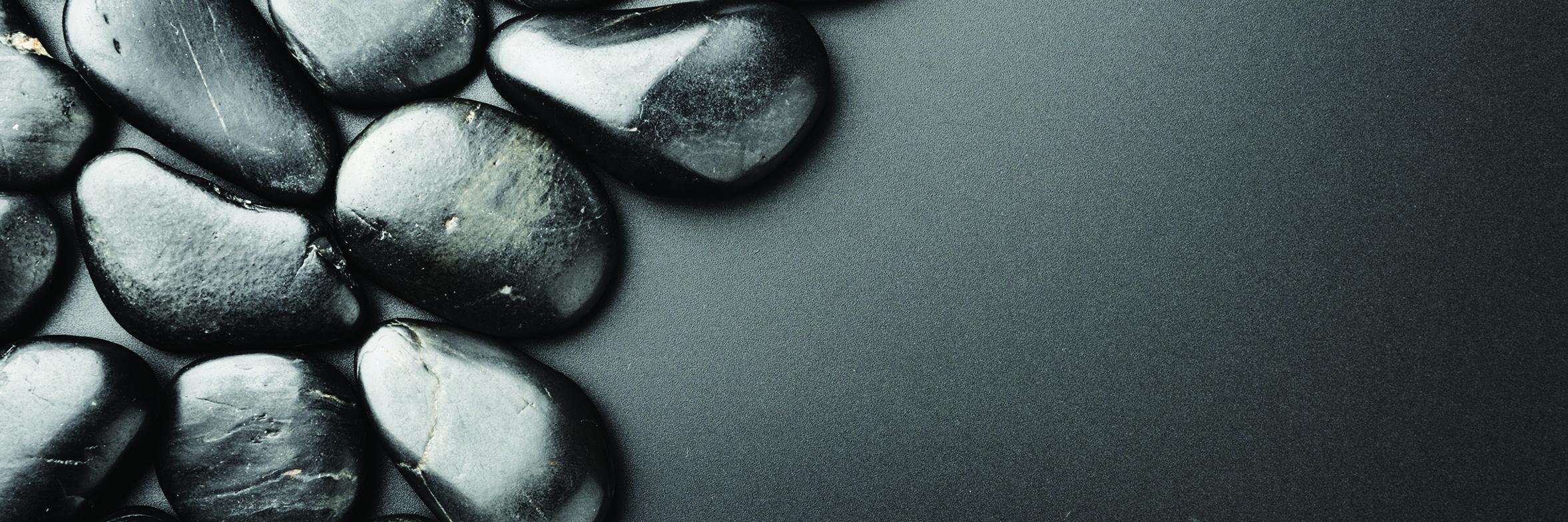 Springer-Miller banner