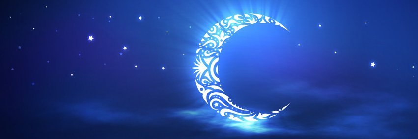 Tulua Swinger banner