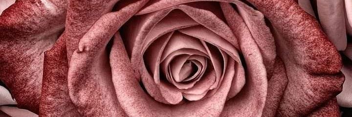 KarlyWay_'s profile banner image