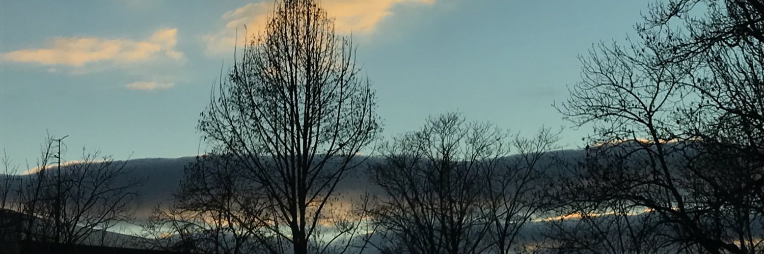 AnneFEBVAY's profile banner image