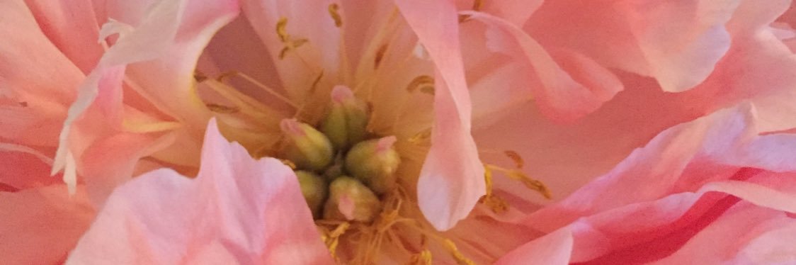 Michael Tiyce banner