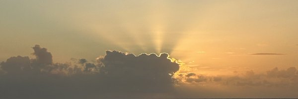 AMCTerrier Profile Banner