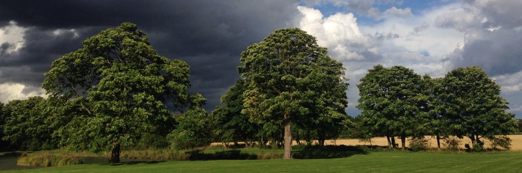 Emma Fletcher banner