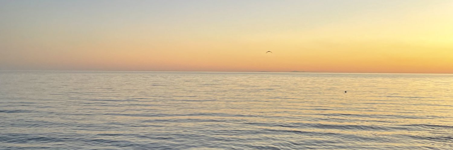 Marisol_sc_'s profile banner image
