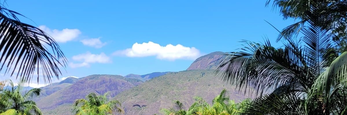RaphaelMineli's profile banner image