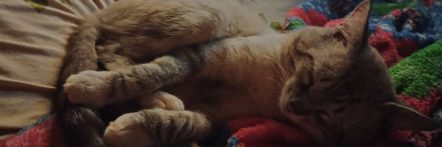 _BitterCoffee_'s profile banner image