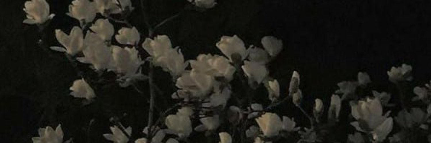summersmithxo's profile banner image