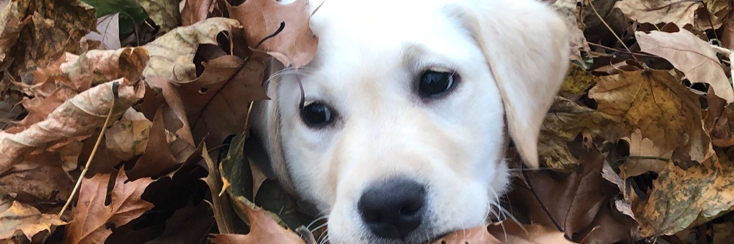 Terrence Conant banner