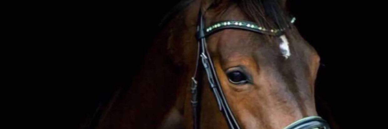 ddff55rr's profile banner image