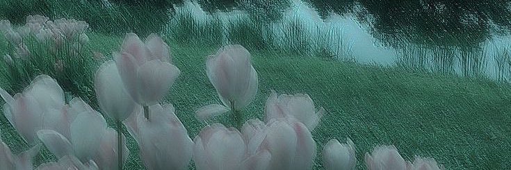 Guchen1110's profile banner image