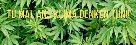 🏳️‍🌈🥦Bro_Cooli🥦🏳️‍🌈 | Lingo | banner