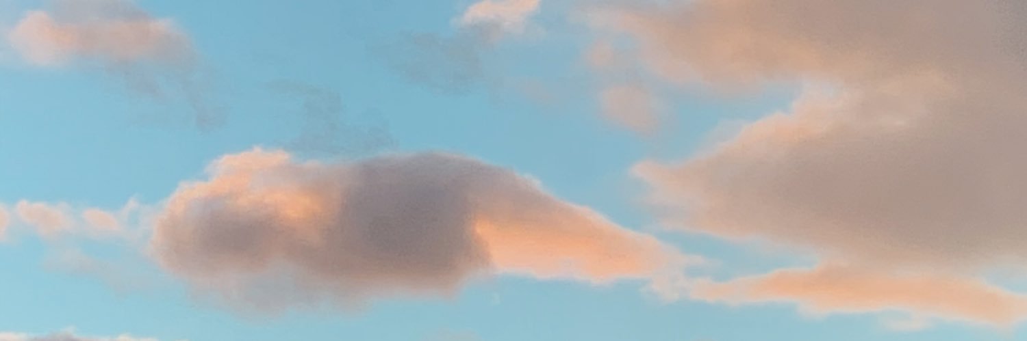 LostAndSoAfraid's profile banner image