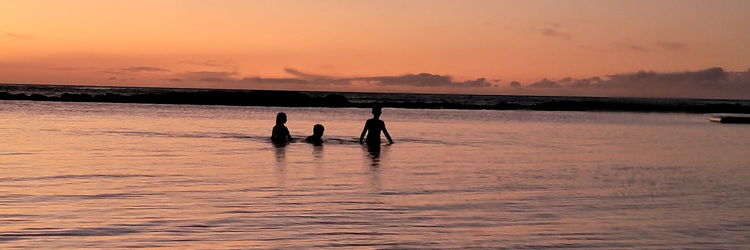 ToiletSeatInvestor banner