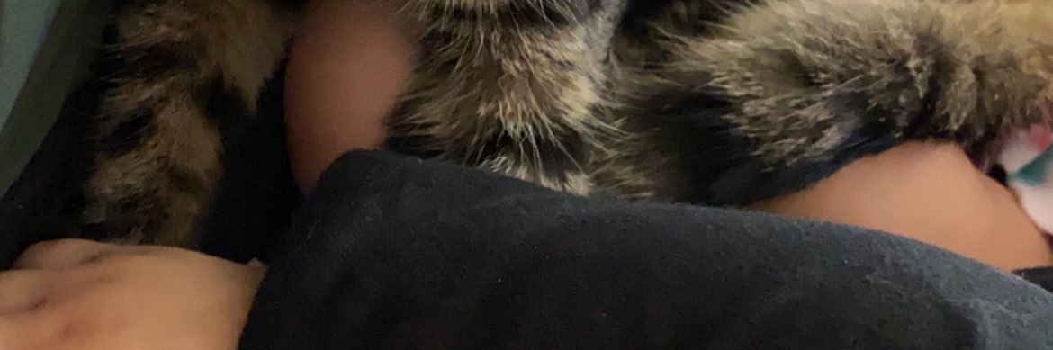 stefffff_xo's profile banner image