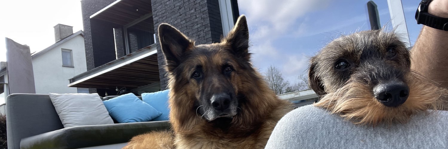 DriesVanderA's profile banner image