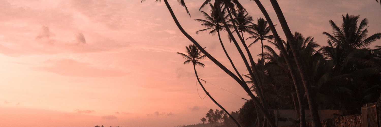 acidcapitals's profile banner image