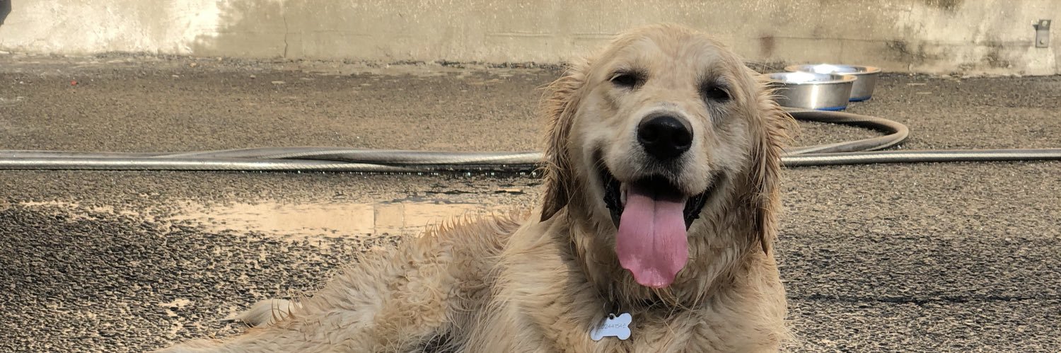 Ryan O'Donnell banner