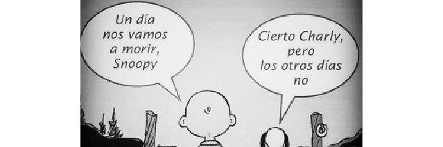 JESUS R BELLORIN R banner