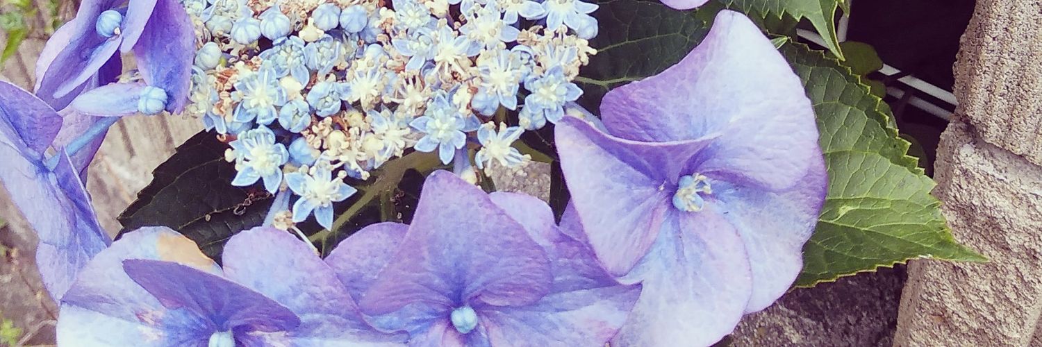 yum875's profile banner image