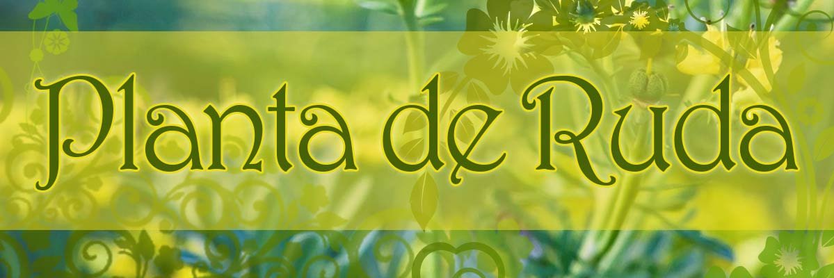 plantaruda's profile banner image