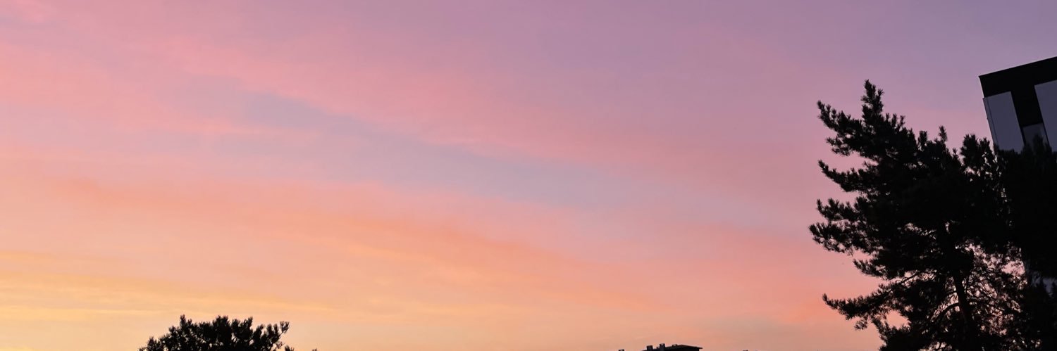 krxket's profile banner image