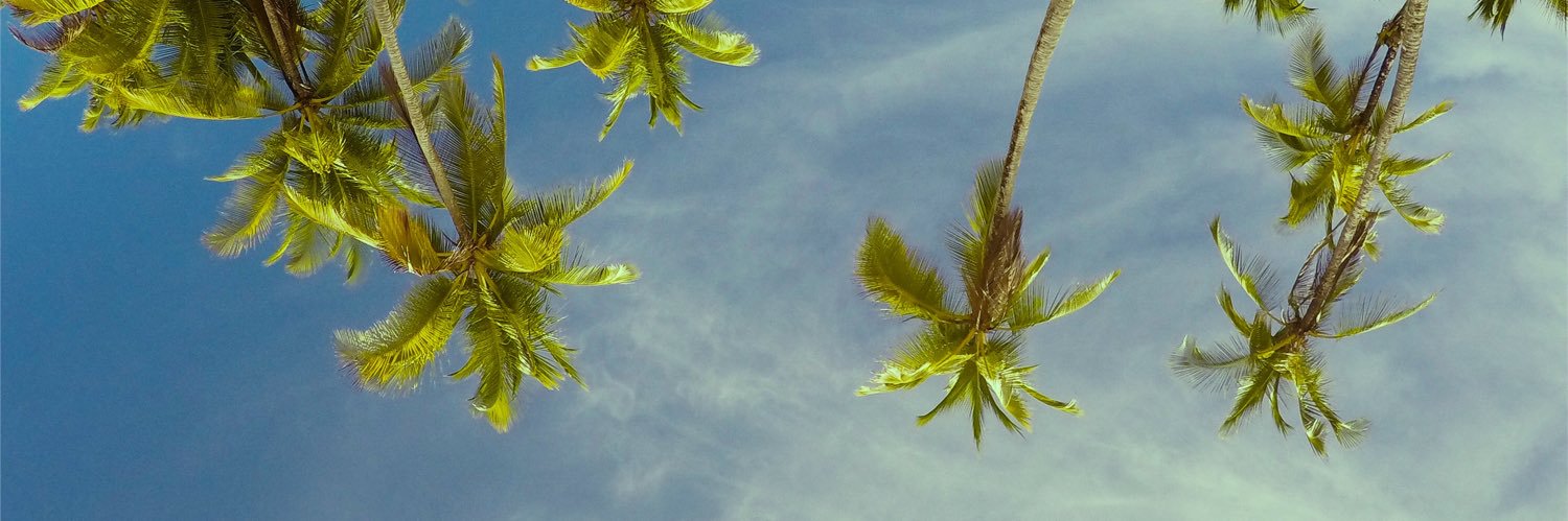 Gabo_M's profile banner image