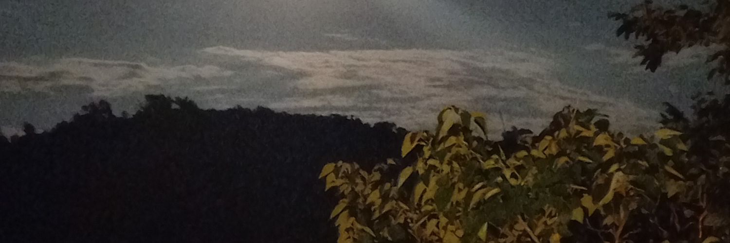 tatuucamposs's profile banner image