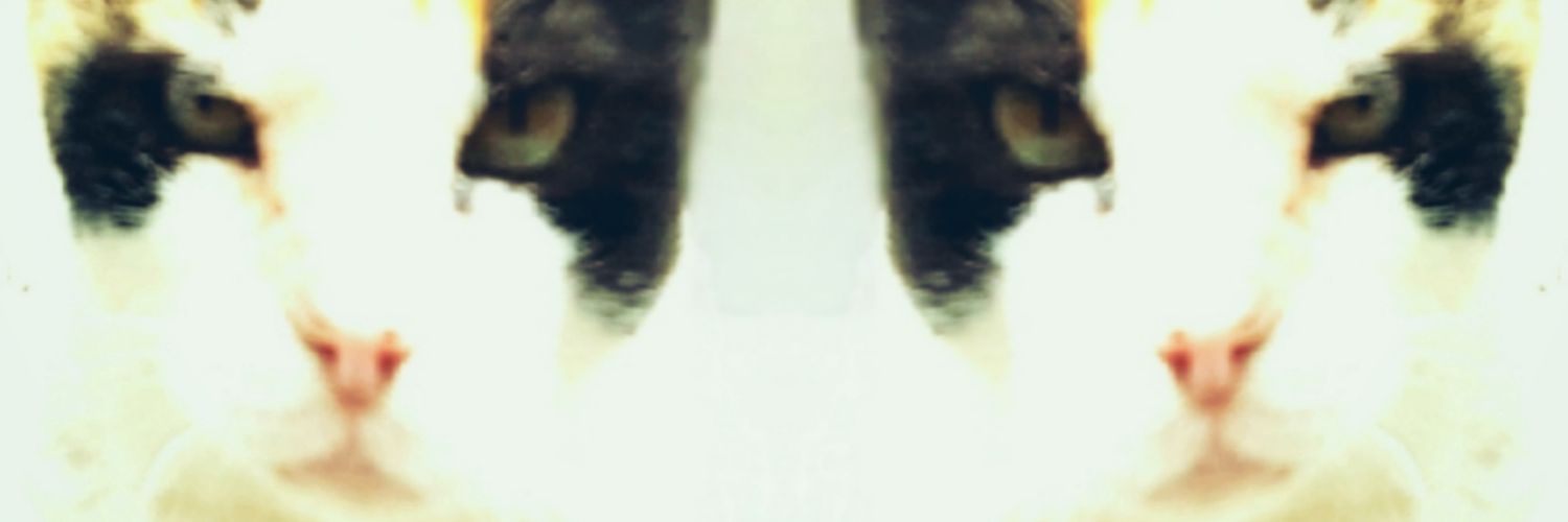 moray_nicol's profile banner image