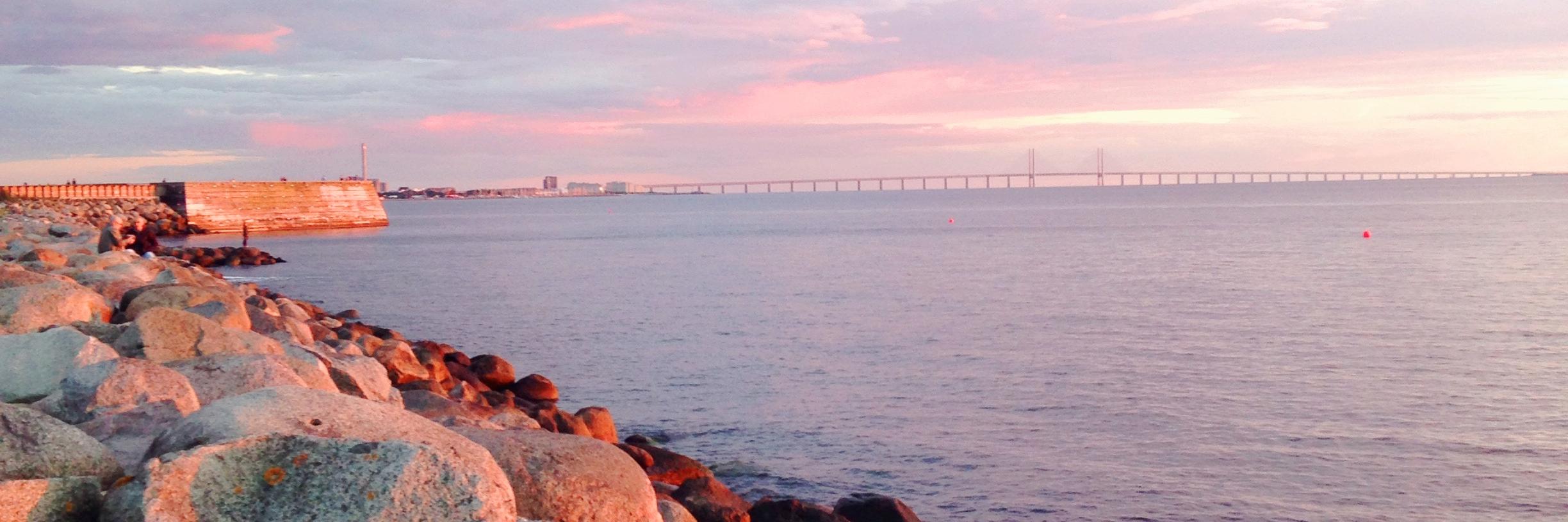 Amy Grinstead banner