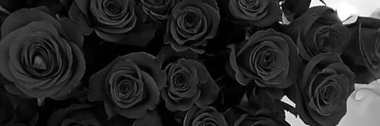 coffinsong's profile banner image