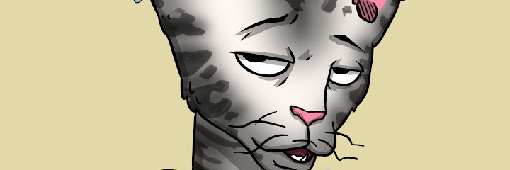 beyzakaar's profile banner image