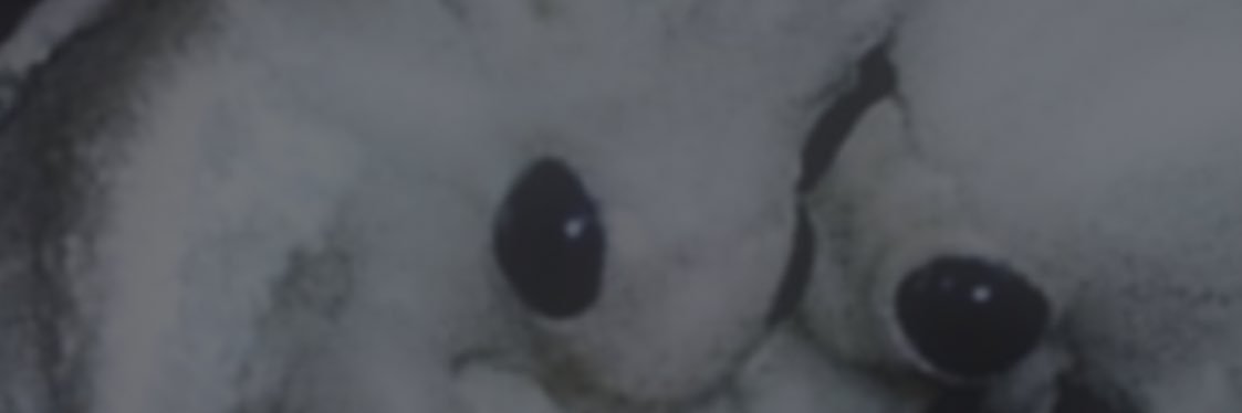 fukkxtc's profile banner image