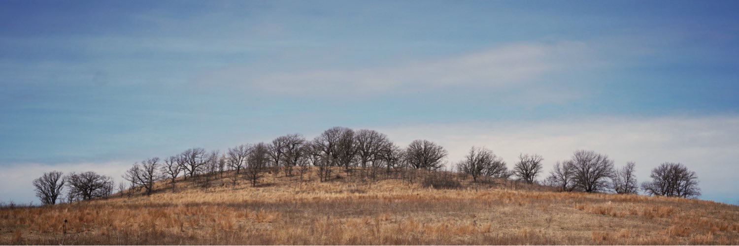 skolasbn's profile banner image