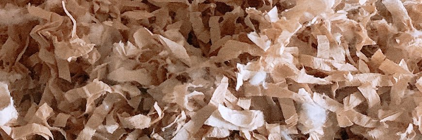 EMdecember's profile banner image