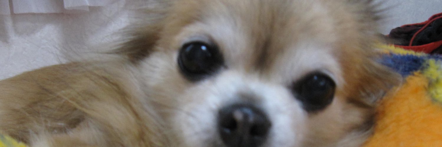 makopichirin's profile banner image